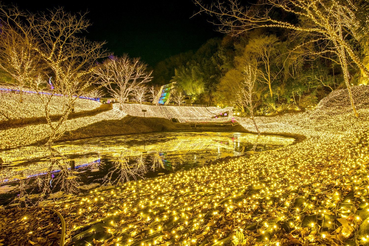 🎢 네스타 리조트 고베 이미지 6
